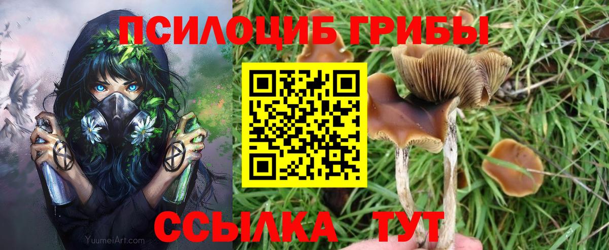 Таганрог  Псилоцибиновые грибы ЛСД  Вход с VPN  Псилоцибиновые грибы мицелий 