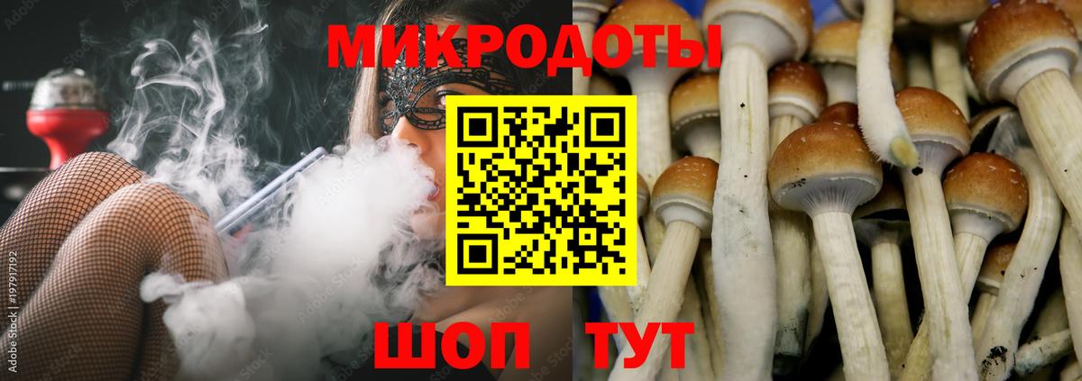 Псилоцибиновые грибы MAGIC MUSHROOMS Таганрог